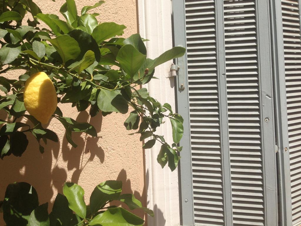 Chanteclair Cannes Exterior photo